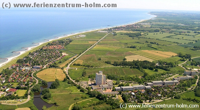 Holm und Kalifornien